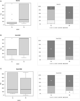 Vaccination Failure in Eradication and Control Programs for Bovine Viral Diarrhea Infection